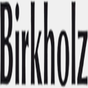 birkholz-international.de