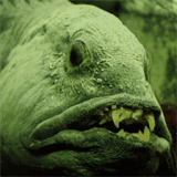 cosmeticdentistryofstuart.com