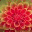 breakhabitsmakeprogress.wordpress.com