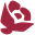 dwzds.com