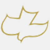 cars-johnstown-altoona.com