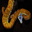 neotropis.ch