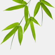 hidraulicna-creva.com