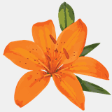 hundleysgreenhouses.com