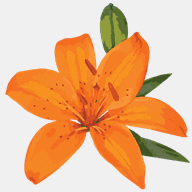 hundleysgreenhouses.com