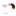 coqtail.github.io