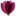 florevent.com