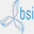 bsicr.com