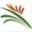 bagicha.com