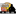 high-throughput.com