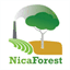 nicetek.net