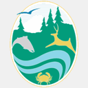 flickeringwaves.com