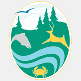 flickeringwaves.com