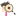 domlab.net