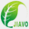 jiavo.com