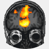 brandtconstruction.com