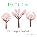be-ecool-organics.com