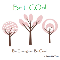 be-ecool-organics.com