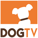 blog.dogtv.com
