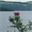 cartersfan.info