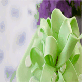 nowthatwasagreatparty.com