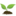 emircevizfidani.com