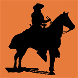 individual-horsemanship.ch