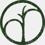 ashevillediningguide.com