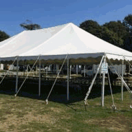 denverchinesemedicine.com