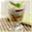 cindolonatape.wordpress.com