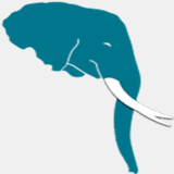 aquaticelephant.com
