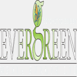 evergreenmediaeurope.com