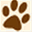 hundeversicherung-check.de