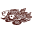 capenidhra.com