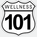 wellness101life.com