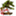 bonsaistudio.hu