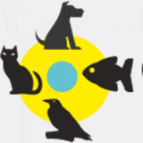 certificadosmedicosmadrid.net