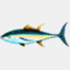 vbtuna.com