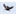 haton.org
