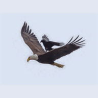 haton.org