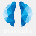 braincolla.com