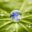 naturalvalueinitiative.org