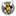 thesting.wrur.org