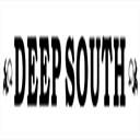 deepsouth.ie