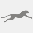 actionpoint.co.uk