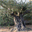 techouva.over-blog.com