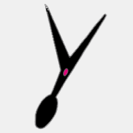 esteticacaninacastellon.com