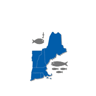 fishnewengland.net