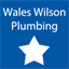 waleswilsonplumbing.com