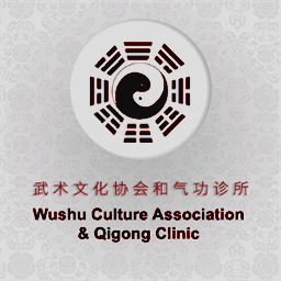 1wushu.co.nz